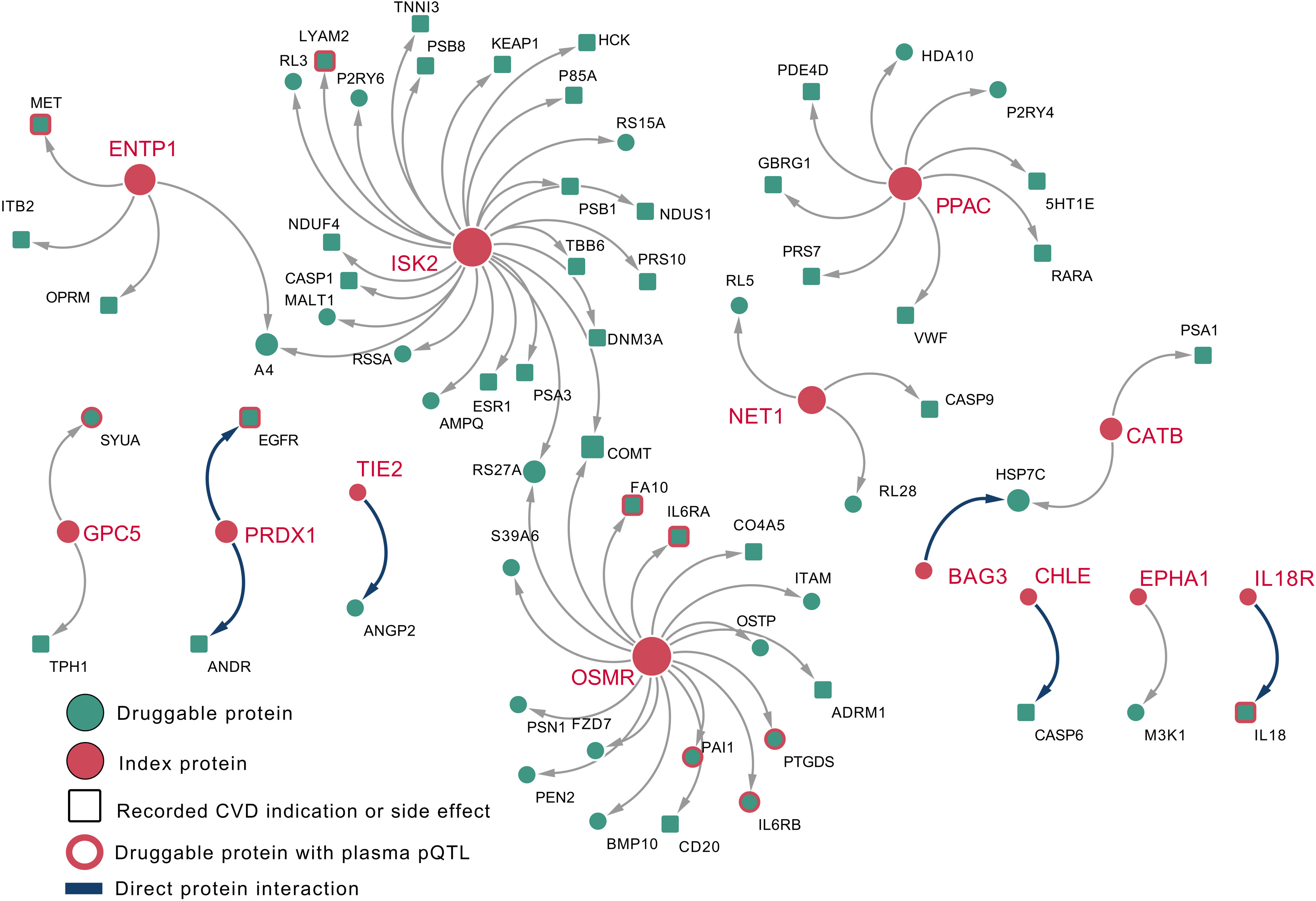 Genetically guided drug development